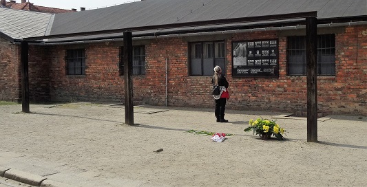Auschwitz_Hanging_Frame