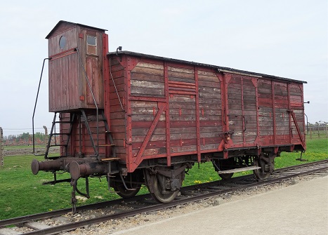 Birkenhau_Train_Carraige_