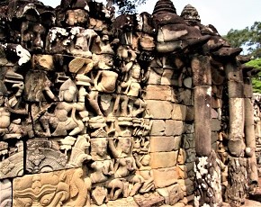 Elephant_Terrace