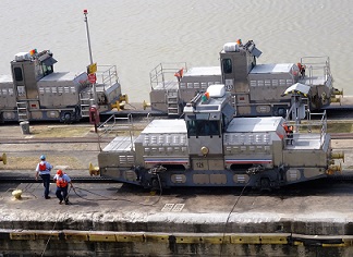 Mules_Panama_Canal