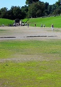 Olympia_Stadium