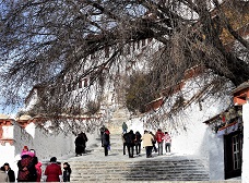 Potala_Palace_Steps