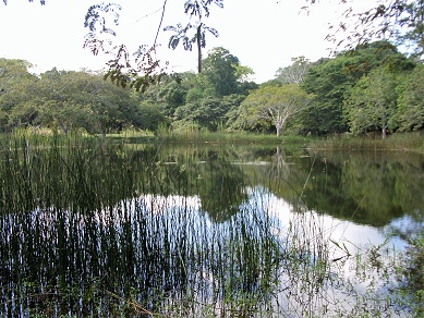 Tikal_Reservoir
